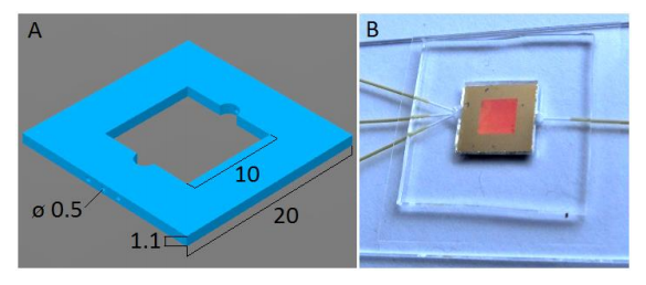 Schematic image of the PDMS chip for microfluidic SERS